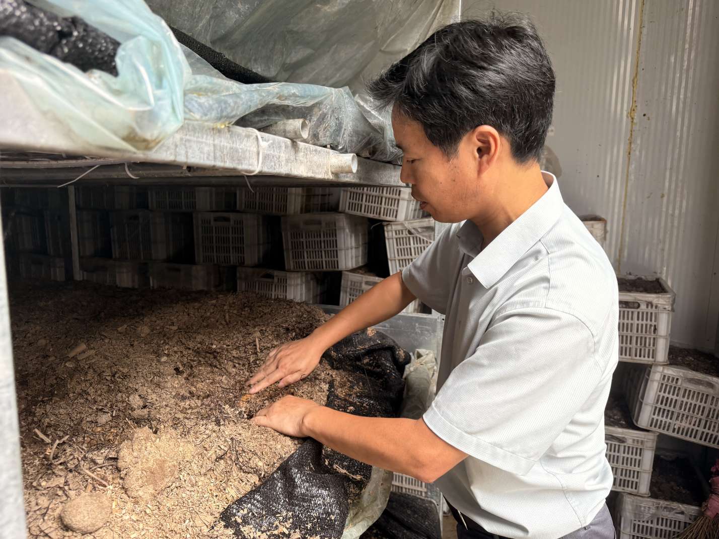同心履職  委員風(fēng)采丨包金亮：扎根鄉(xiāng)土獻良策 科技興農(nóng)助振興